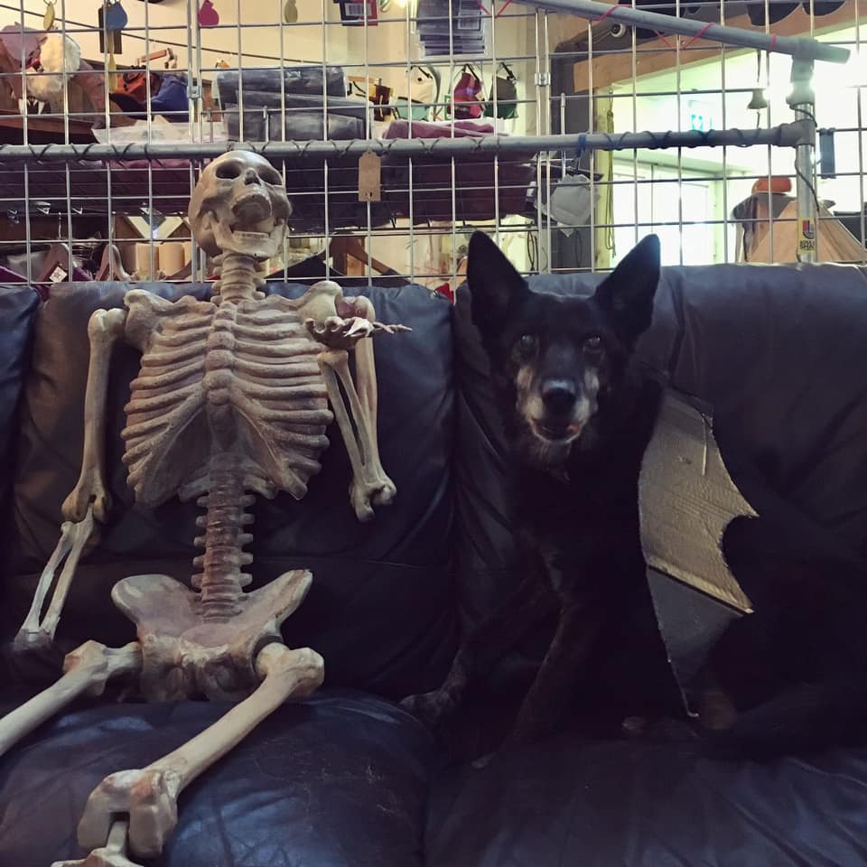 Halloween Party